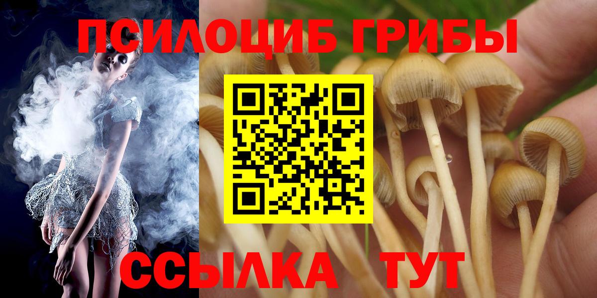 Вятские Поляны  Галлюциногенные грибы GOLDEN TEACHER  Вход с VPN 